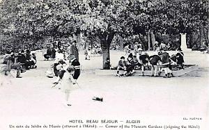 ALGER - HOTEL BEAUSEJOUR - JARDIN DU MUSEE 